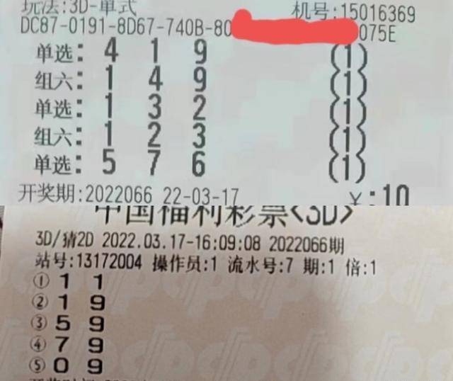 福彩3D组选策略解析，组三选与组六选的逻辑拆解对比